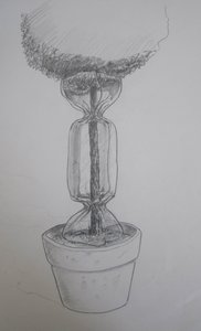 Drawing Tree Candy - Laurence Jenkell